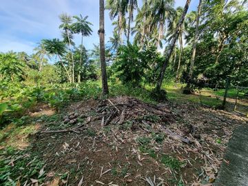 3.6HAS FARMLOT WITH 2 STOREY AND BUNGALOW HOUSE