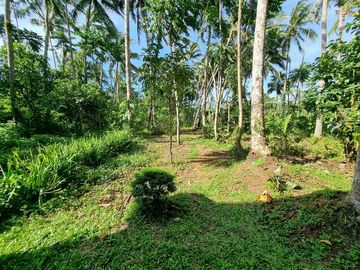 3.6HAS FARMLOT WITH 2 STOREY AND BUNGALOW HOUSE