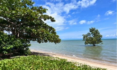 18,730 sqm Beach Front Property FOR SALE in Maruyogon Puerto Prinsesa, Palawan
