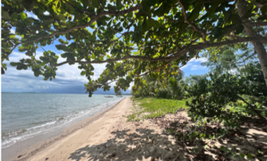 18,730 sqm Beach Front Property FOR SALE in Maruyogon Puerto Prinsesa, Palawan
