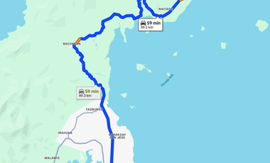 18,730 sqm Beach Front Property FOR SALE in Maruyogon Puerto Prinsesa, Palawan