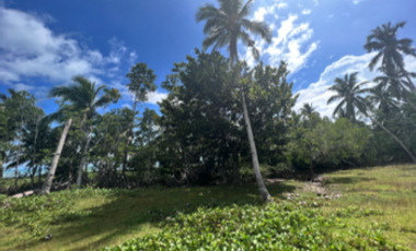 18,730 sqm Beach Front Property FOR SALE in Maruyogon Puerto Prinsesa, Palawan