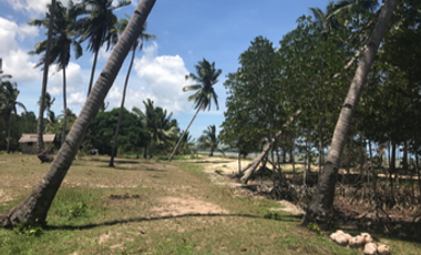 18,730 sqm Beach Front Property FOR SALE in Maruyogon Puerto Prinsesa, Palawan