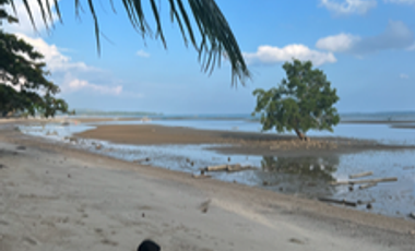 18,730 sqm Beach Front Property FOR SALE in Maruyogon Puerto Prinsesa, Palawan