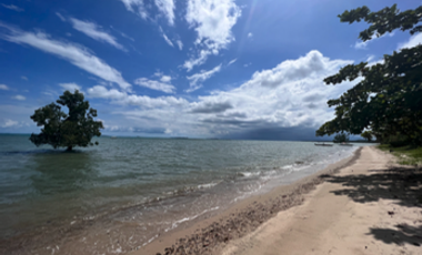 18,730 sqm Beach Front Property FOR SALE in Maruyogon Puerto Prinsesa, Palawan
