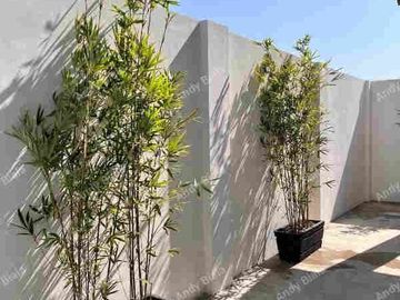 House and Lot FOR SALE at Manaoag, Pangasinan