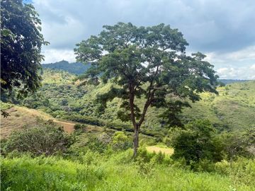 Lote en venta corregimiento Santa Inés Yumbo-Valle AMS. 9214916