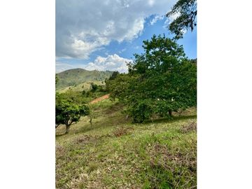 Lote en venta corregimiento Santa Inés Yumbo-Valle AMS. 9214916