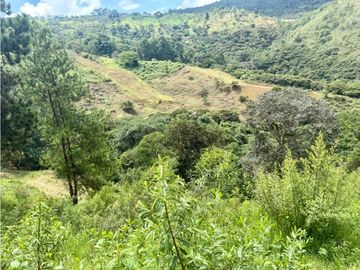 Lote en venta corregimiento Santa Inés Yumbo-Valle AMS. 9214916
