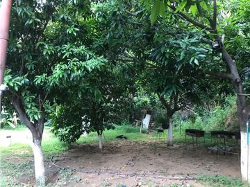 Venta de casa campestre con árboles frutales Bonda - Santa Marta