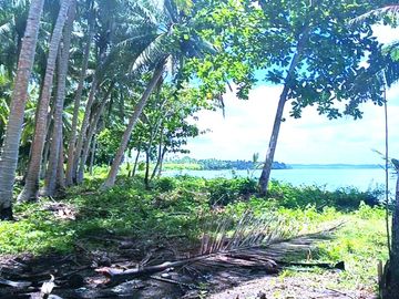 5 HECTARES BEACHFRONT PROPERTY FOR SALE IN AGDANGAN,QUEZON