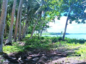 5 HECTARES BEACHFRONT PROPERTY FOR SALE IN AGDANGAN,QUEZON