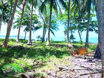 5 HECTARES BEACHFRONT PROPERTY FOR SALE IN AGDANGAN,QUEZON