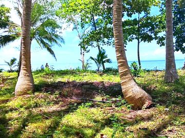 5 HECTARES BEACHFRONT PROPERTY FOR SALE IN AGDANGAN,QUEZON