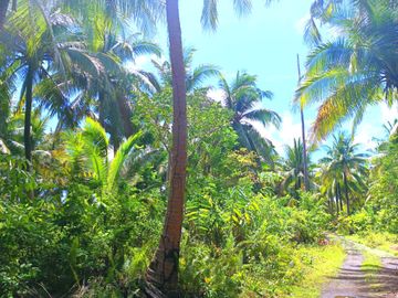 5 HECTARES BEACHFRONT PROPERTY FOR SALE IN AGDANGAN,QUEZON
