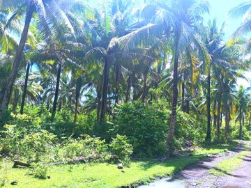 5 HECTARES BEACHFRONT PROPERTY FOR SALE IN AGDANGAN,QUEZON
