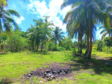 5 HECTARES BEACHFRONT PROPERTY FOR SALE IN AGDANGAN,QUEZON