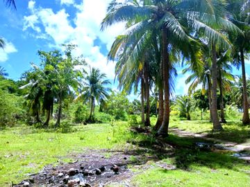 5 HECTARES BEACHFRONT PROPERTY FOR SALE IN AGDANGAN,QUEZON