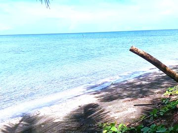 5 HECTARES BEACHFRONT PROPERTY FOR SALE IN AGDANGAN,QUEZON