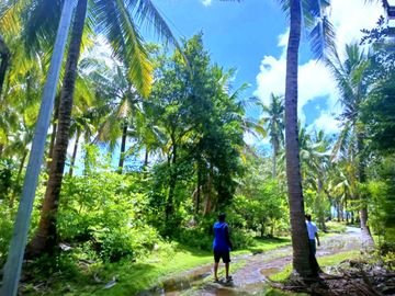 5 HECTARES BEACHFRONT PROPERTY FOR SALE IN AGDANGAN,QUEZON