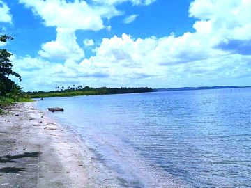 5 HECTARES BEACHFRONT PROPERTY FOR SALE IN AGDANGAN,QUEZON