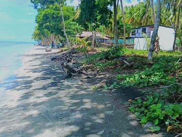 5 HECTARES BEACHFRONT PROPERTY FOR SALE IN AGDANGAN,QUEZON