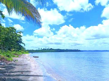 5 HECTARES BEACHFRONT PROPERTY FOR SALE IN AGDANGAN,QUEZON