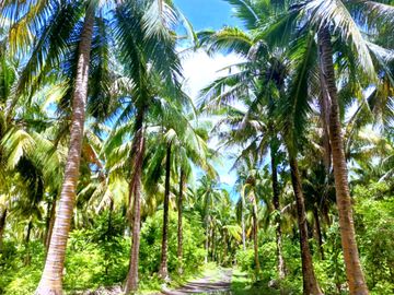 5 HECTARES BEACHFRONT PROPERTY FOR SALE IN AGDANGAN,QUEZON