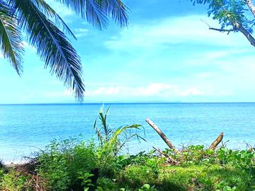 5 HECTARES BEACHFRONT PROPERTY FOR SALE IN AGDANGAN,QUEZON