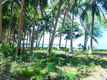 5 HECTARES BEACHFRONT PROPERTY FOR SALE IN AGDANGAN,QUEZON