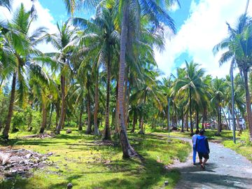 5 HECTARES BEACHFRONT PROPERTY FOR SALE IN AGDANGAN,QUEZON