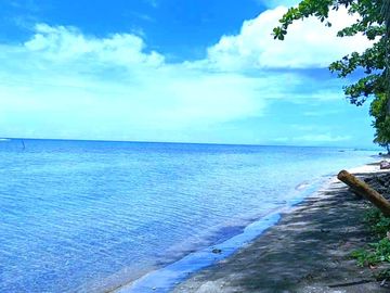 5 HECTARES BEACHFRONT PROPERTY FOR SALE IN AGDANGAN,QUEZON