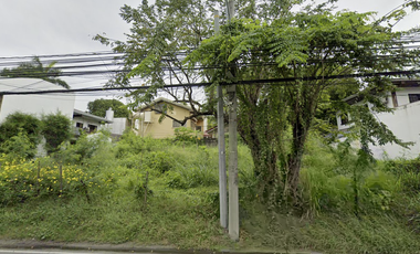 350 sqm Residential Lot FOR SALE in 87 Concha Cruz Drive, BF Homes Parañaque