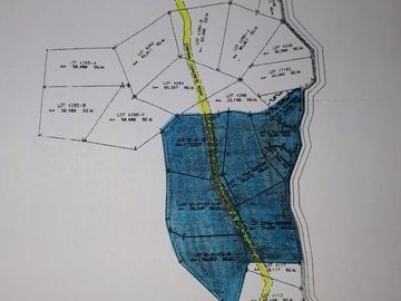 For a port Zambales 42.3 Hec Beach Lot in Brgy. Cawag, Subic, beside Hanijn