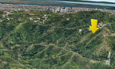 FOR SALE: Prime Lot in Busay, cebu - 33,164 SQM Adjacent to Gaslamp District