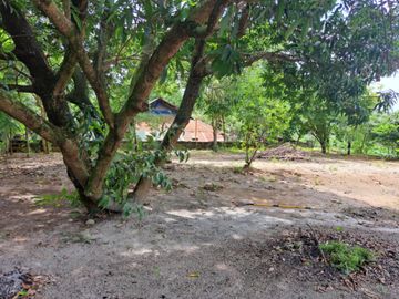 Lot for Sale 872 sqm, clean title in Sta. Monica Sta. Rita Guagua, Pampanga