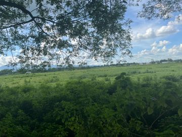 Residential lot Good for trucking, clean title in Ebus Guagua, Pampanga for Sale