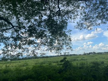 Residential lot Good for trucking, clean title in Ebus Guagua, Pampanga for Sale
