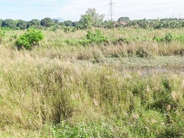 FOR SALE: 5.6 hectare Agricultural Farm Land