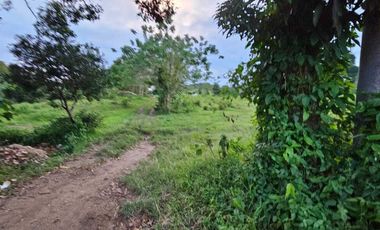 2.1 Hectare Lot for SALE in Amadeo, Cavite! Php 2,800 / sqm neg.. open to terms