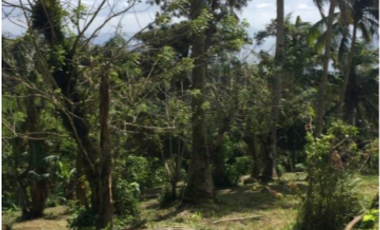 LOT FOR SALE: ~19,330.31 sqm along Tagaytay Ridge in Brgy. Iruhin, Tagaytay City