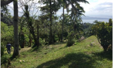 LOT FOR SALE: ~19,330.31 sqm along Tagaytay Ridge in Brgy. Iruhin, Tagaytay City