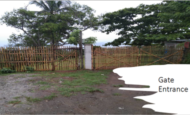 LOT FOR SALE: ~19,330.31 sqm along Tagaytay Ridge in Brgy. Iruhin, Tagaytay City
