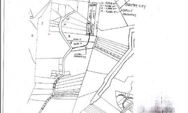 LOT FOR SALE: ~19,330.31 sqm along Tagaytay Ridge in Brgy. Iruhin, Tagaytay City