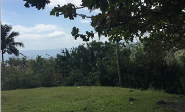 LOT FOR SALE: ~19,330.31 sqm along Tagaytay Ridge in Brgy. Iruhin, Tagaytay City