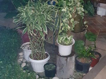 House and Lot in The Grand Parkplace Village Imus Cavite P9.6M