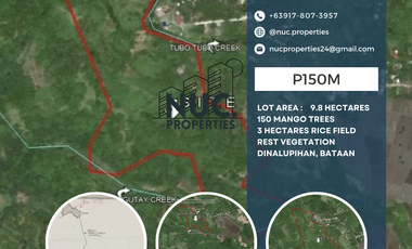9.8 Hectares for Sale Tubo-Tubo Dinalupihan Bataan