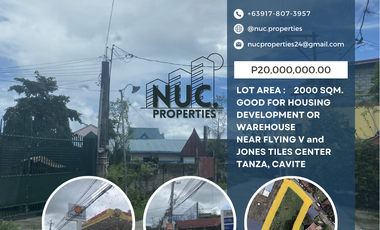 Lot For Sale Good For Housing Development Or Warehouse P20m Tanza Cavite