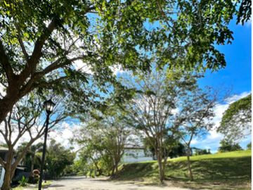 Ayala Westgrove Heights Lot For Sale 57K/sqm