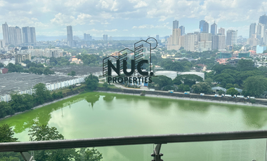 For Sale! 2-Bedroom Unit in Skyvillas at One Balete, New Manila, Quezon City